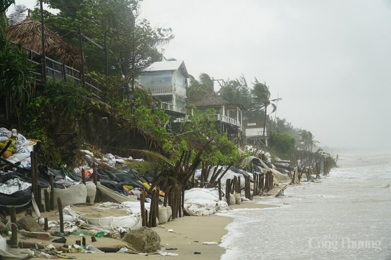 Các cơ sở kinh doanh du lịch, dịch vụ chênh vênh bên bờ kè, đối mặt với nguy cơ bị sóng biển cuốn trôi