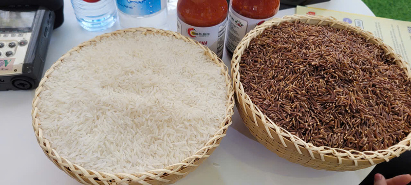 Các sản phẩm của Tam Nông đạt chất lượng cao, khẳng định uy tín trên thị trường quốc tế. Ảnh: Minh Long