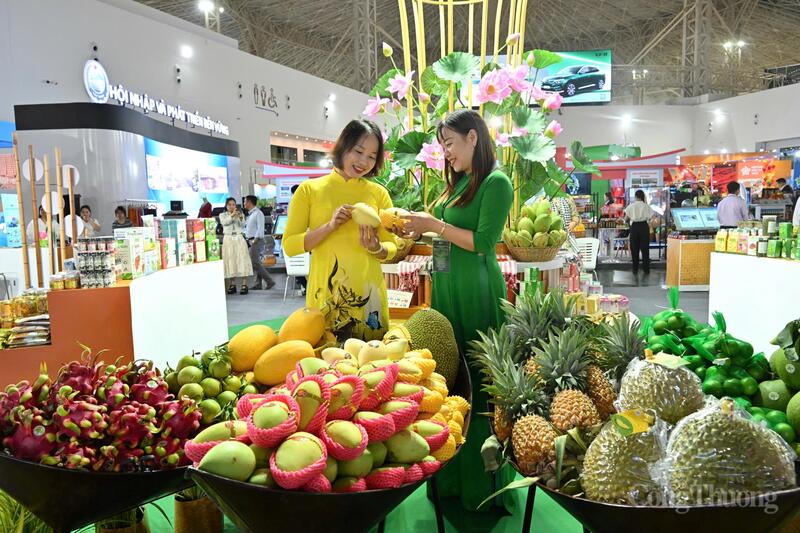 Hội chợ Mùa Thu lần thứ nhất - 2025 quy tụ nhiều nông sản đặc trưng của Việt Nam. Ảnh: Cấn Dũng.