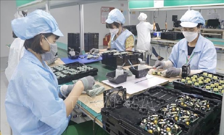 Các doanh nghiệp đã chủ động tìm kiếm đối tác, nắm bắt cơ hội hợp tác, hướng đến sản phẩm có giá trị gia tăng cao hơn trong chuỗi.   Ảnh BG