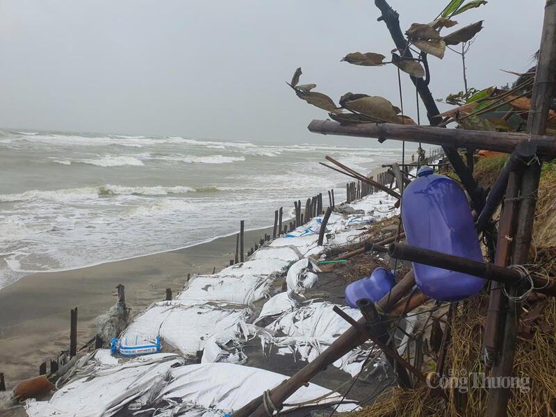 Trước đó, hồi bão số 12, hàng trăm cán bộ, chiến sĩ đã xuyên trưa, xuyên đêm gia cố tạm bờ biển An Bàng bị sạt lở nghiêm trọng