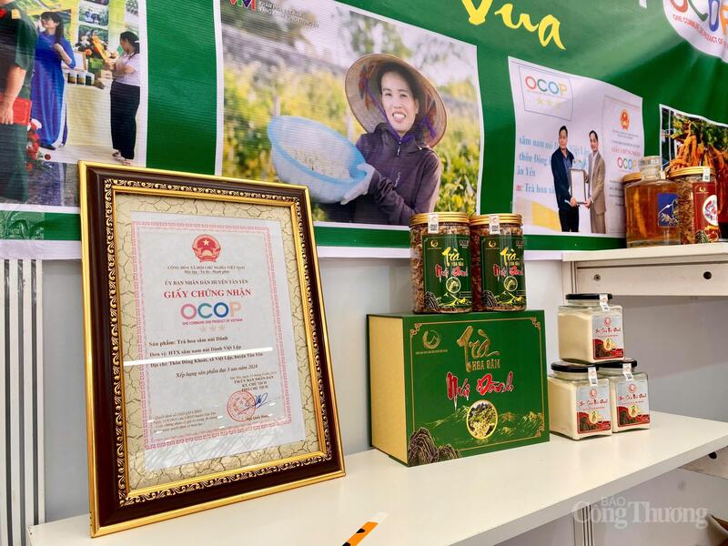 Sản phẩm của Hợp tác xã sâm nam núi Dành Việt Lập.