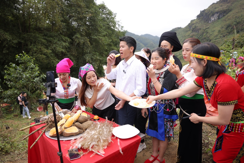 Ông Lê Bá Sơn, Chủ tịch UBND xã Sìn Hồ (Lai Châu) cùng bà con livestream tại ruộng giới thiệu khoai sâm đất Sìn Hồ tới người tiêu dùng cả nước