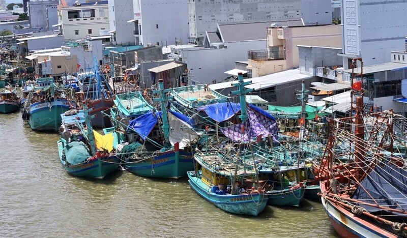 Tỉnh Cà Mau mở đợt cao điểm chống khai thác thủy sản bất hợp pháp, không báo cáo và không theo quy định (IUU). Ảnh: Nguyệt Thanh