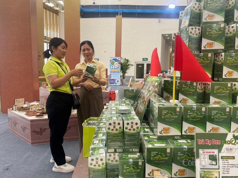 Gian hàng giới thiệu sản phẩm trà xạ đen của Công ty Cổ phần MD Queens. Ảnh: Hải Linh