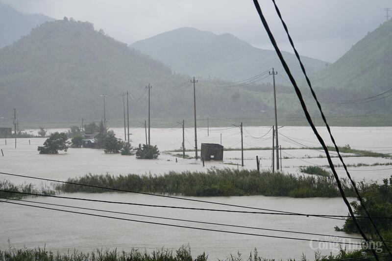 Rau màu, cây trái, ao nuôi tôm của người dân chìm trong biển nước.