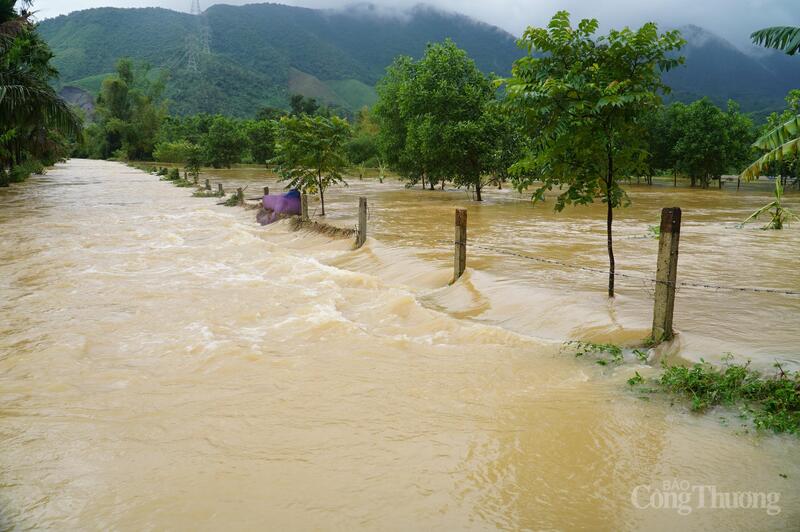 Nước dâng tràn qua các vườn cây chảy siết đổ về sông Cu Đê.