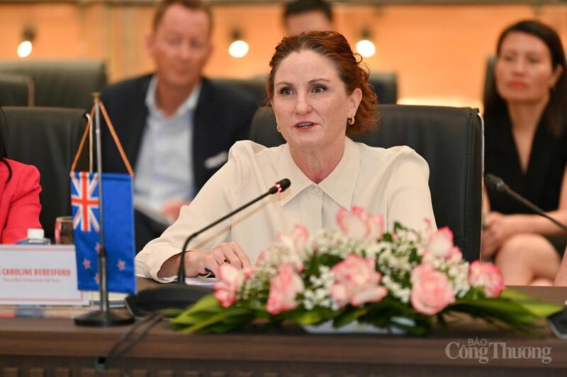 Bà Caroline Beresford, Đại sứ New Zealand tại Việt Nam phát biểu tại buổi làm việc