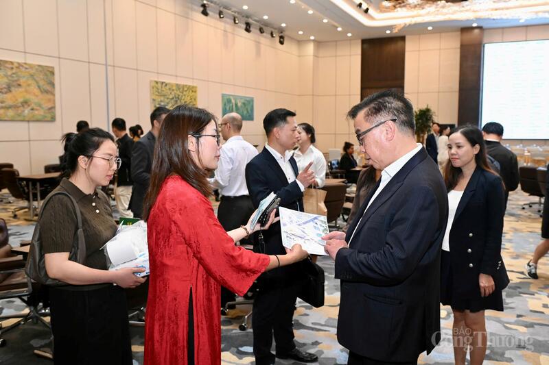 New Zealand tìm cơ hội hợp tác, đầu tư sâu vào lĩnh vực thế mạnh của Việt Nam - 9