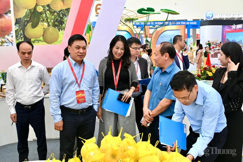 Mỗi gian trưng bày được chấm tối đa 100 điểm, theo các tiêu chí đã quy định. Kết quả là điểm của mỗi gian trưng bày được tính bằng số điểm trung bình cộng của các thành viên Hội đồng giám khảo.