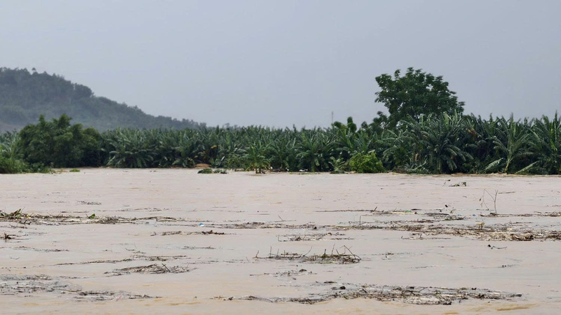 Nước sông Trà Khúc đang lên rất nhanh khiến nhiều người dân ở các gò đất giữa sông không kịp trở tay. Ảnh: Nguyễn Dương