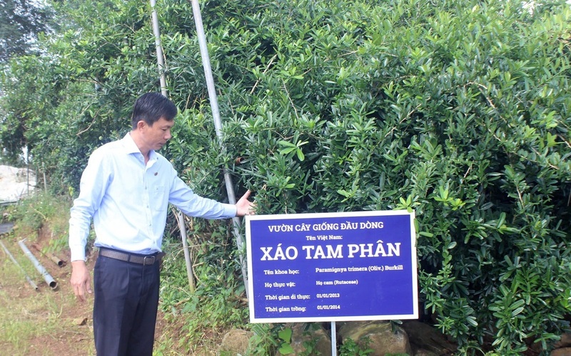 Ông Nguyễn Văn Khôn, Giám đốc Công ty TNHH Dược liệu Tâm Tâm An (TTA Pharma). Ảnh: Tâm An