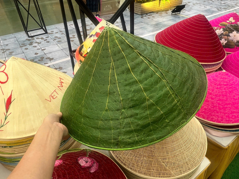 Một chiếc nón lá được làm hoàn toàn bằng lá sen. Ảnh: Thanh Thảo.