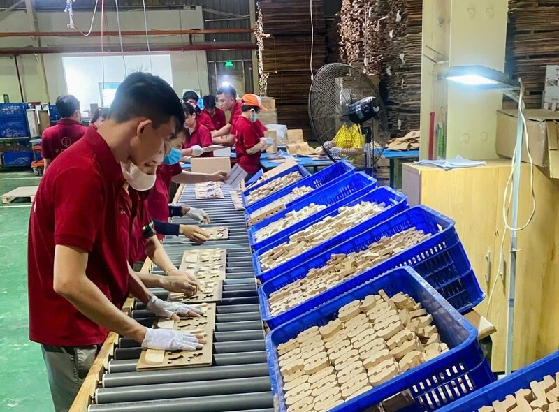 Khu vực phía Đông (tỉnh Bình Định cũ) hiện là 1 trong 4 trung tâm chế biến gỗ lớn nhất Việt Nam và được mệnh danh là "thủ phủ ngành gỗ" của cả nước.