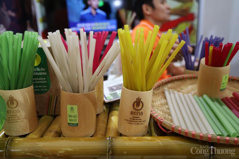 Ống hút xanh Ecos. Ảnh: Hoa Quỳnh
