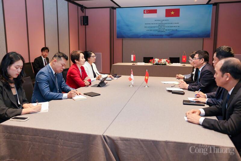 Toàn cảnh buổi làm việc song phương giữa Bộ trưởng Bộ Công Thương Nguyễn Hồng Diên và Bộ trưởng Bộ Môi trường và Phát triển bền vững, kiêm Bộ trưởng Phụ trách quan hệ thương mại Singapore - bà Grace Fu.