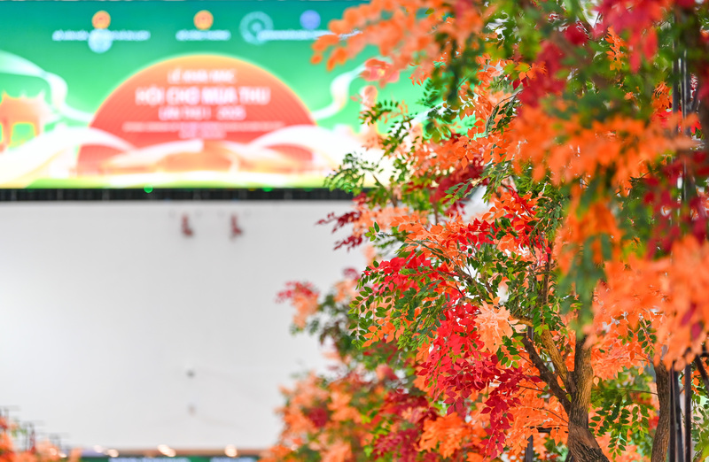 Với tông màu chủ đạo là vàng rực và đỏ trầm, con đường tái hiện tinh tế, đầy hoài niệm cảnh sắc mùa thu đặc trưng của Hà Nội.