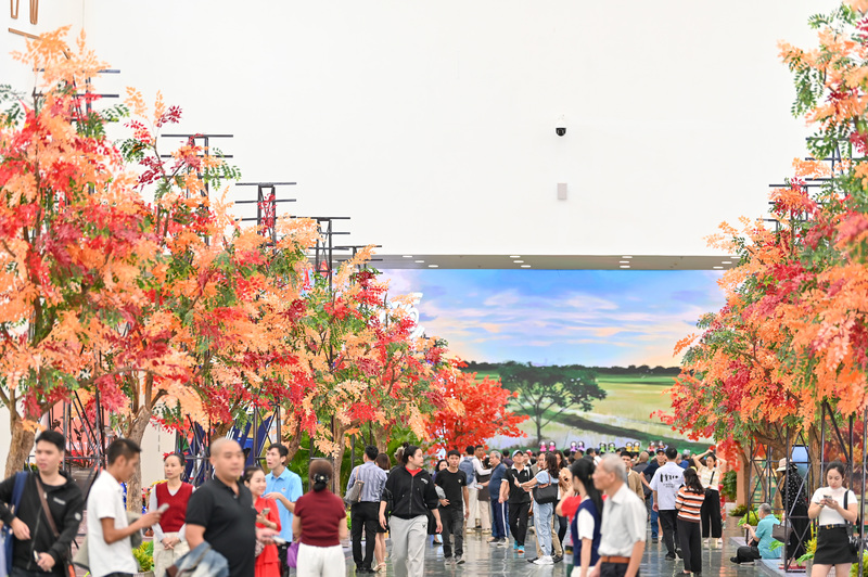 Con đường được phủ kín bởi những tán lá vàng, lá đỏ, gợi nhớ đến hình ảnh cây cơm nguội vàng, lá bàng đỏ thẫm trên những con phố cổ kính.