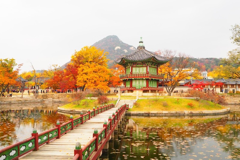 Mùa thu Gyeongju vàng rực trong ánh nắng cuối thu và những hàng ngân hạnh đổ lá vàng như lụa.