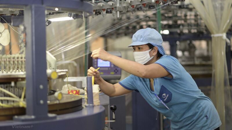 Doanh nghiệp xuất khẩu cần nắm rõ quy định về phòng vệ thương mại của thị trường nhằm tránh các rủi ro. Ảnh minh họa