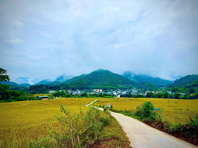 Đời sống bà con vùng cao Quang Chiểu đổi thay nhờ nếp Cay Nọi