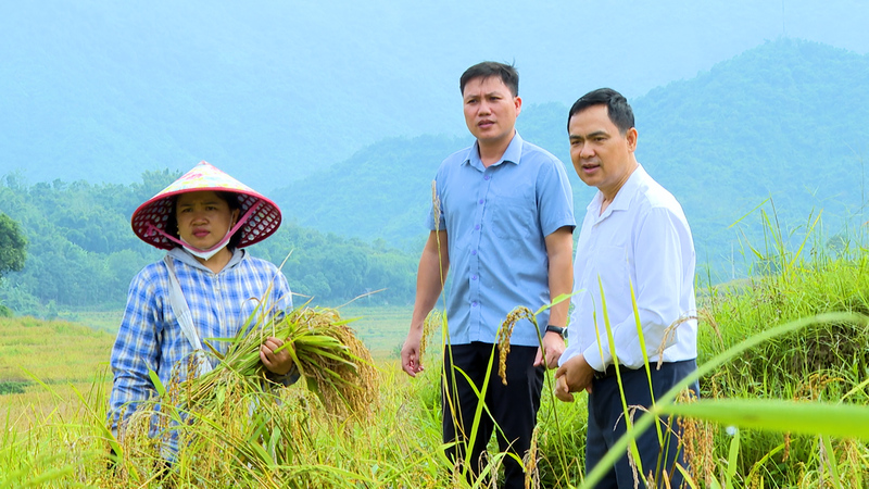 Lãnh đạo xã Quảng Chiểu động viên bà con thu hoạch lúa