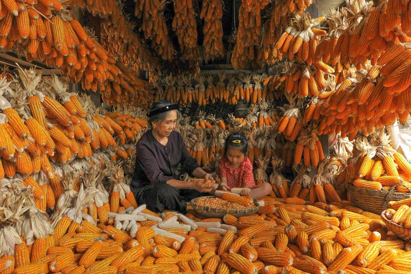 Ẩm thực địa phương là điểm nhấn nhiều đặc sắc.  Ảnh minh hoạ