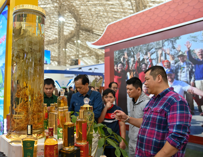 Sản phẩm sâm ngọc linh thú hút sự quan tâm của nhiều khách hàng là nam giới.