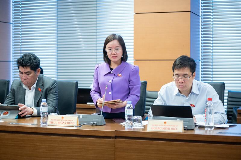 Đại biểu Thái Thị An Chung (Nghệ An) phát biểu. Ảnh: Phạm Thắng.