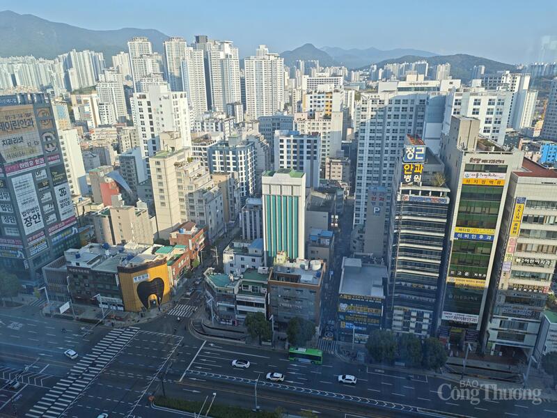 Từ mùa thu vàng Gyeongju tới biển bạc Phú Quốc - Kỳ cuối: Busan - Đông Anh, giấc mơ lớn - 10