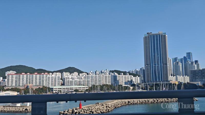 Một góc thành phố cảng Busan. Ảnh: Nguyên Minh