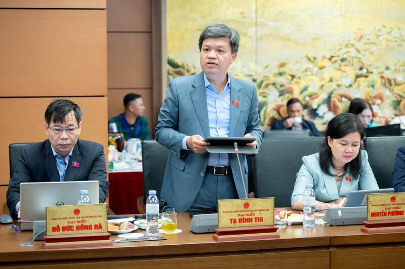 Đại biểu Tạ Đình Thi - đoàn đại biểu Quốc hội thành phố Hà Nội.