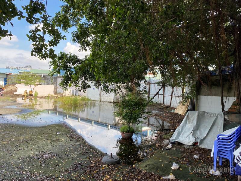 Bên trong vật liệu ngổn ngang, hoen gỉ, cỏ mọc um tùm, ảnh hưởng đến môi trường xung quanh.