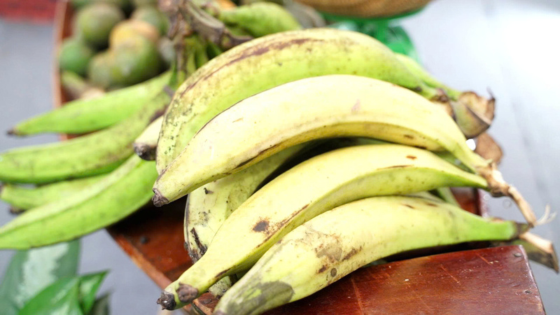 Chuối táo quạ thu hút du khách bởi nhiều công dụng tốt cho sức khỏe. Ảnh: Diệu Linh