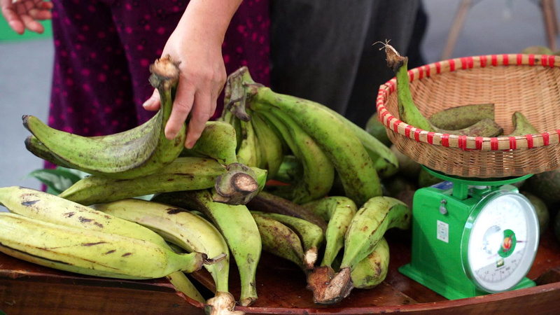 Hình ảnh chuối táo quạ khổng lồ tại gian hàng tỉnh Vĩnh Long. Ảnh: Diệu Linh