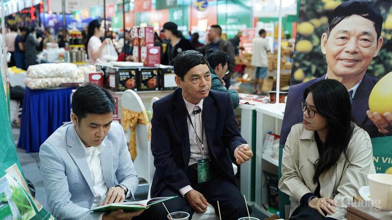 Ông Nguyễn Như Hảo trao đổi và chia sẻ câu chuyện ứng dụng trí tuệ nhân tạo (AI) vào sản xuất nông nghiệp tại địa phương. Ảnh: Diệu Linh