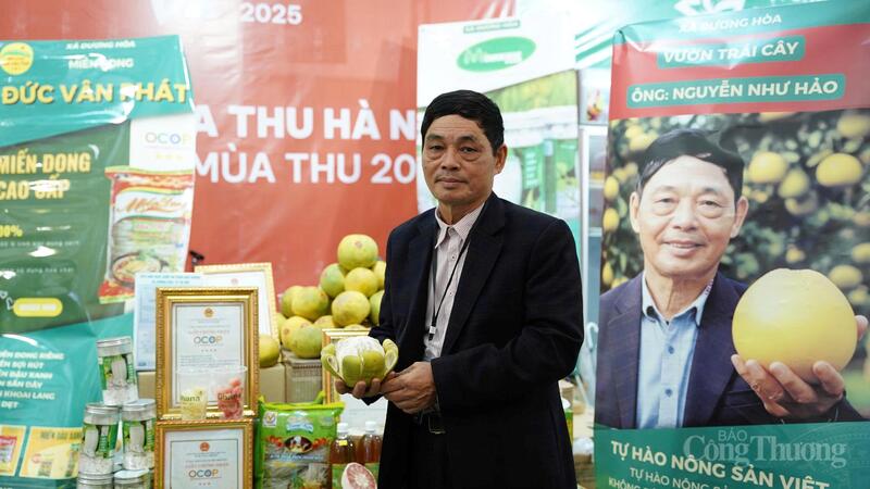 Ông Nguyễn Như Hảo, Giám đốc Hợp tác xã bưởi Quế Dương. Ảnh: Diệu Linh