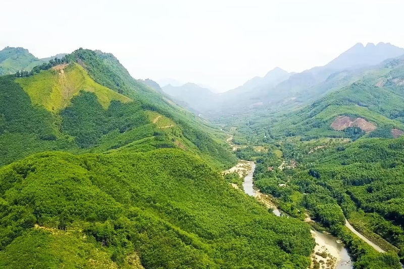 Đà Nẵng hướng tới đến năm 2030 sẽ có hơn 30.000 ha rừng được cấp chứng chỉ FSC. Ảnh: Bình An