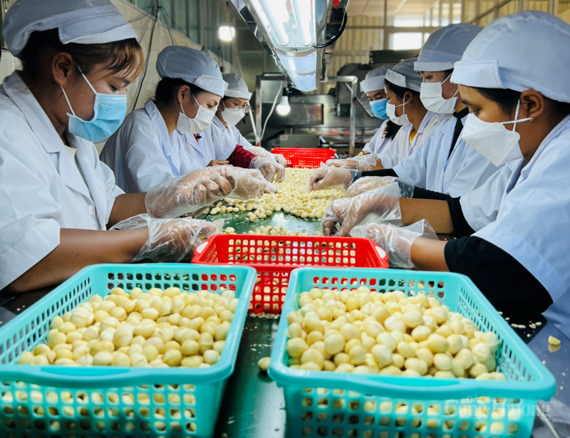 Khối doanh nghiệp nhỏ và vừa Việt Nam còn gặp nhiều khó khăn trong đáp ứng các tiêu chuẩn để được cấp C/O ưu đãi