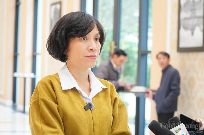 Bà Lại Việt Anh, Phó Cục trưởng Cục Thương mại điện tử và Kinh tế số, Bộ Công Thương.