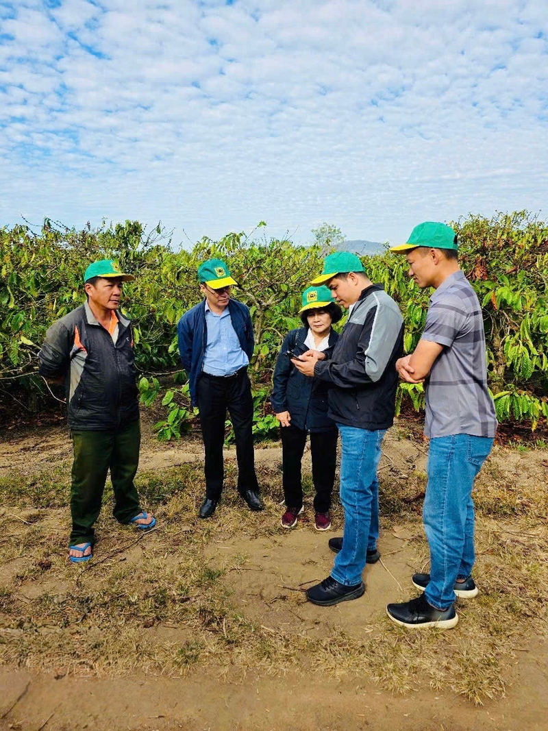 Đoàn cán bộ Công ty cổ phần phân bón Bình Điền và Viện Khoa học kỹ thuật nông lâm nghiệp Tây Nguyên thăm vườn cà phê hộ ông Lê Thanh Trí