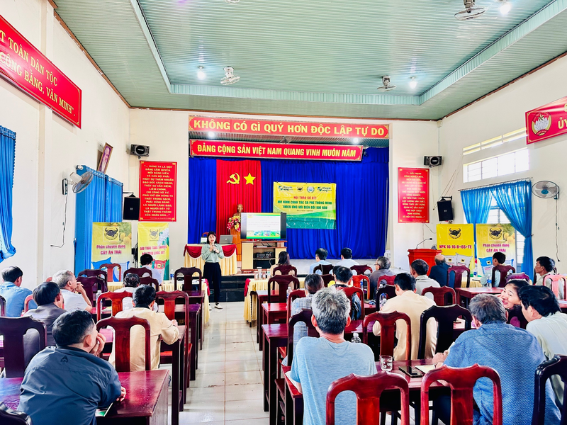 Hội nghị nghị sơ kết chương trình canh tác cà phê thông minh tại điểm mô hình cà phê trồng thuần xã Chư Prông tỉnh Gia Lai tháng 11/2024