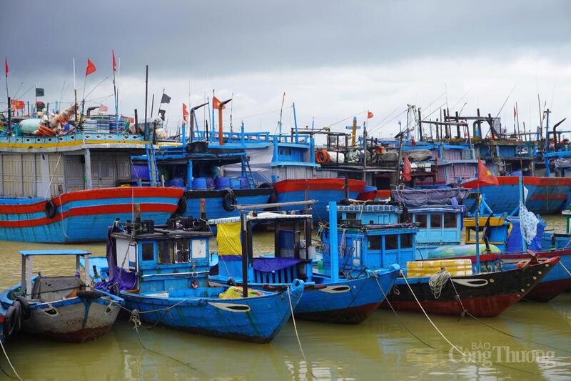 Đến 17h00 chiều 6/11, việc gia cố đã hoàn thành