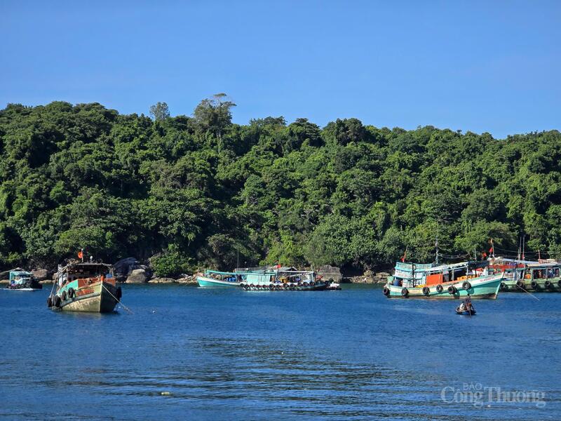 Đại biểu Nguyễn Chu Hồi đề xuất đưa chế tài vào Luật là giải pháp quan trọng để gỡ thẻ vàng IUU. Ảnh minh họa