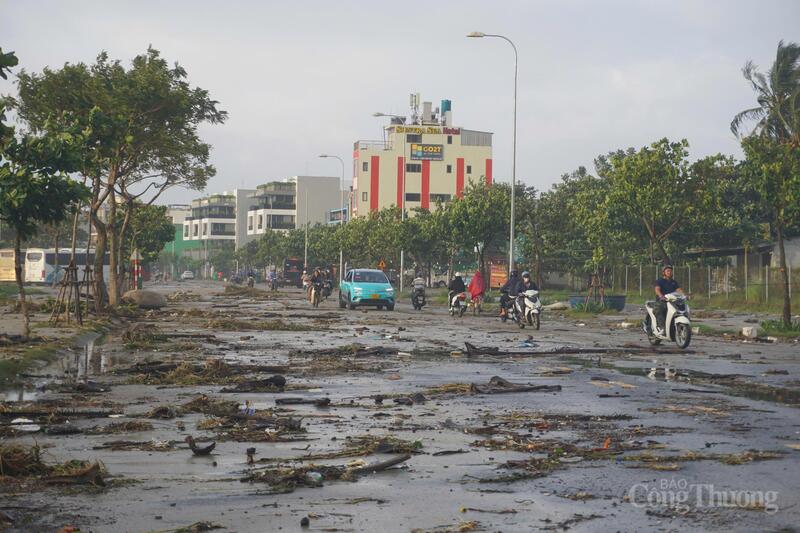 Do ảnh hưởng của cơn bão số 13 (bão Kalmaegi) đêm qua khiến sóng biển dâng cao, đánh tràn bờ, gây bật gốc nhiều cây dừa và cuốn theo 1 lượng rác lớn vào bờ biển và các tuyến đường ven biển Đà Nẵng.