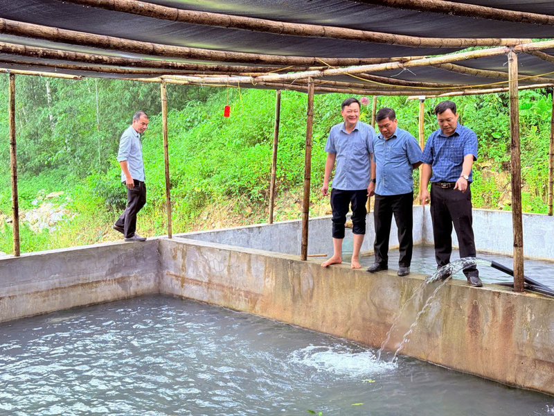 Lãnh đạo xã Hiền Kiệt kiểm tra, hướng dẫn người dân triển khai mô hình nuôi cá tầm. Ảnh: Xã Hiền Kiệt