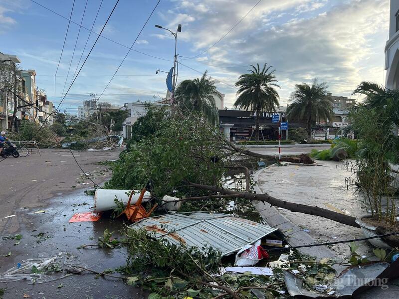 Cây cối khu vực đông Gia Lai bị gãy đổ trước bão táp.