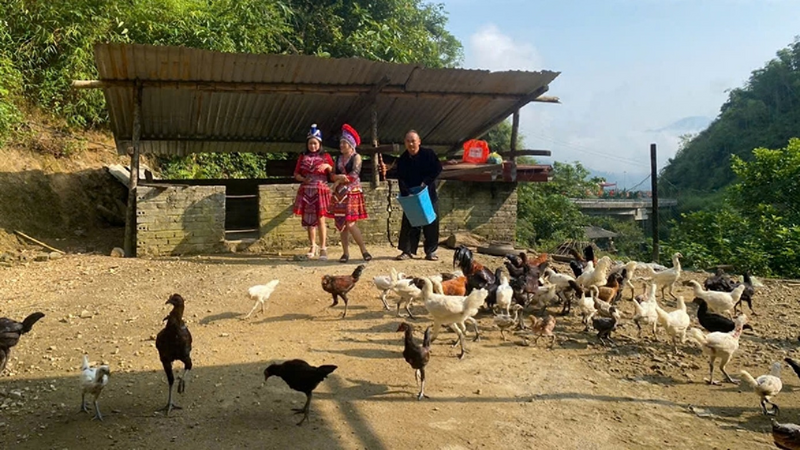 Gà đen bản Khằm là một giống gà đặc sản của xã Trung Lý