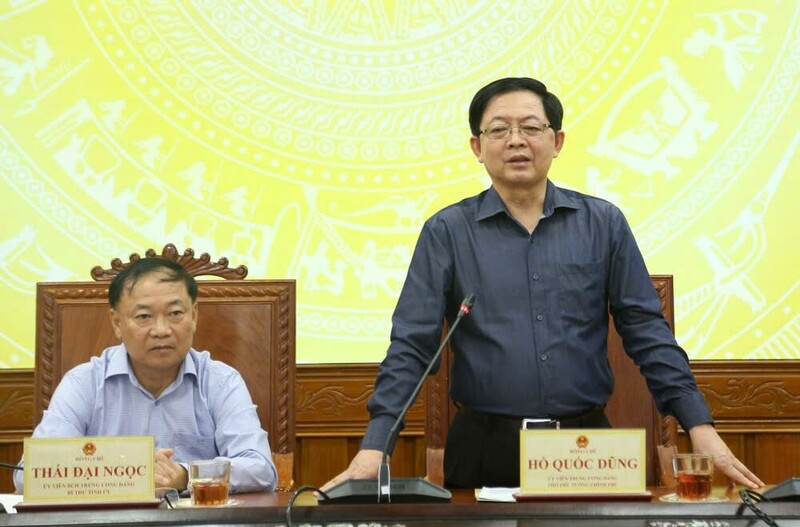 Phó Thủ tướng Chính phủ Hồ Quốc Dũng phát biểu tại buổi làm việc. Ảnh: Hồng Phúc