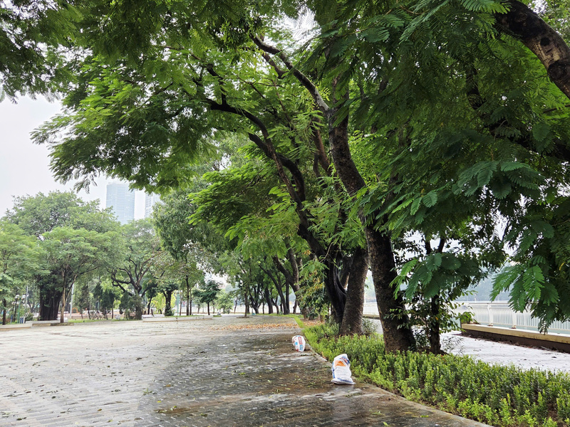 Hàng cây xanh mát và thảm cỏ ven hồ được trồng bổ sung, tạo không gian thông thoáng, hài hòa với cảnh quan đô thị.